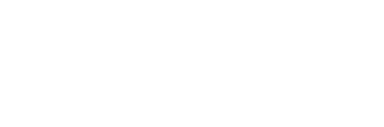 NIC